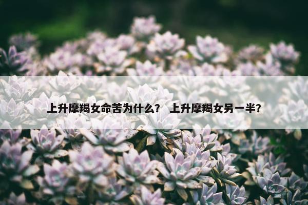 上升摩羯女命苦为什么？ 上升摩羯女另一半？