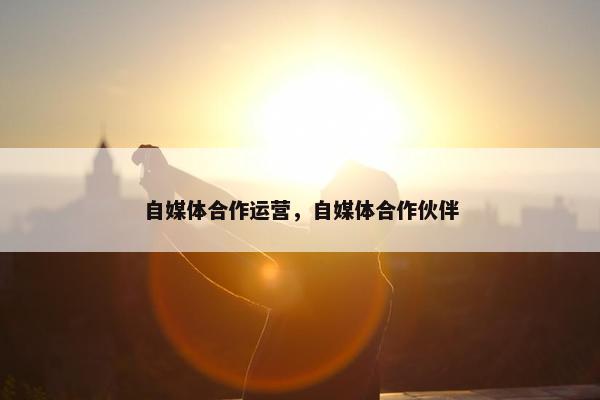 自媒体合作运营，自媒体合作伙伴