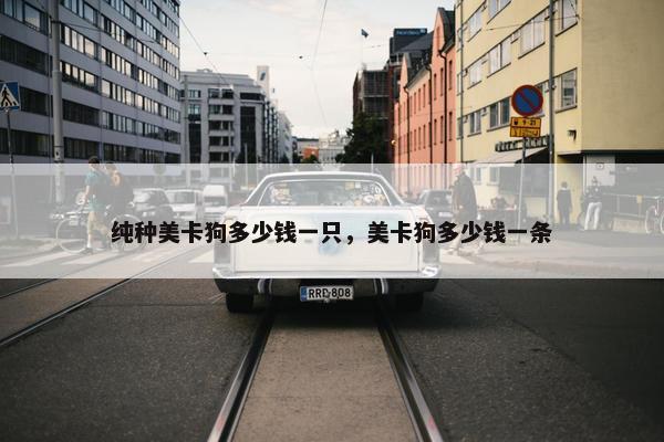 纯种美卡狗多少钱一只，美卡狗多少钱一条