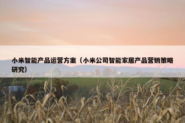 小米智能产品运营方案（小米公司智能家居产品营销策略研究）