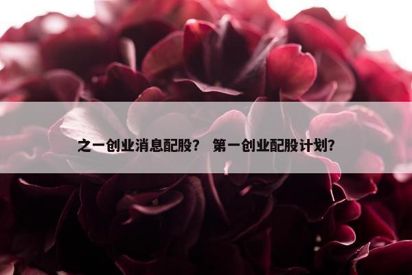 之一创业消息配股？ 第一创业配股计划？