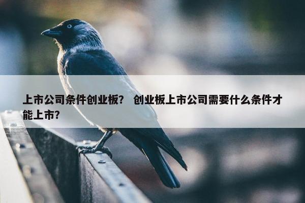上市公司条件创业板？ 创业板上市公司需要什么条件才能上市？