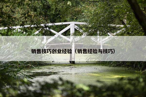 销售技巧创业经验（销售经验与技巧）