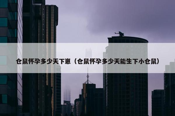 仓鼠怀孕多少天下崽（仓鼠怀孕多少天能生下小仓鼠）