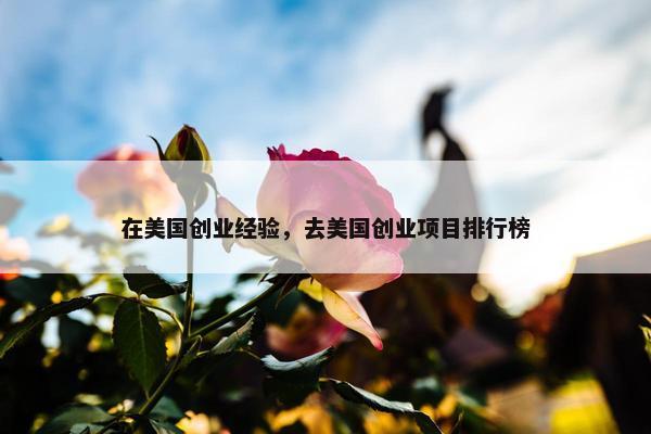 在美国创业经验，去美国创业项目排行榜
