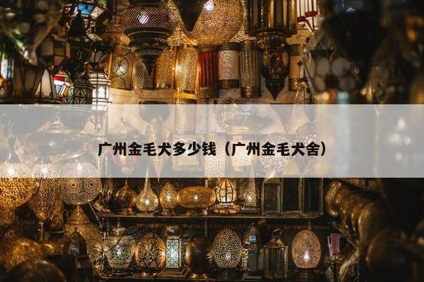 广州金毛犬多少钱（广州金毛犬舍）