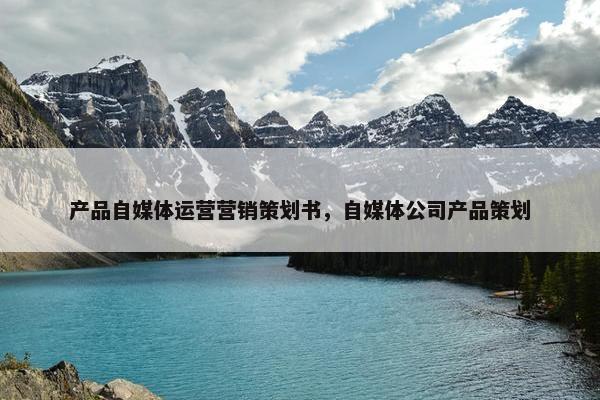 产品自媒体运营营销策划书，自媒体公司产品策划