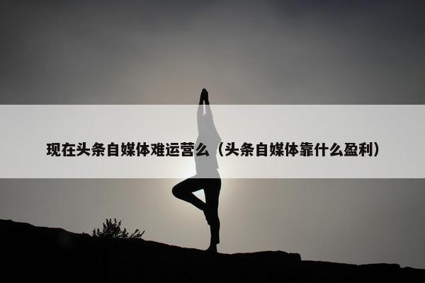 现在头条自媒体难运营么（头条自媒体靠什么盈利）