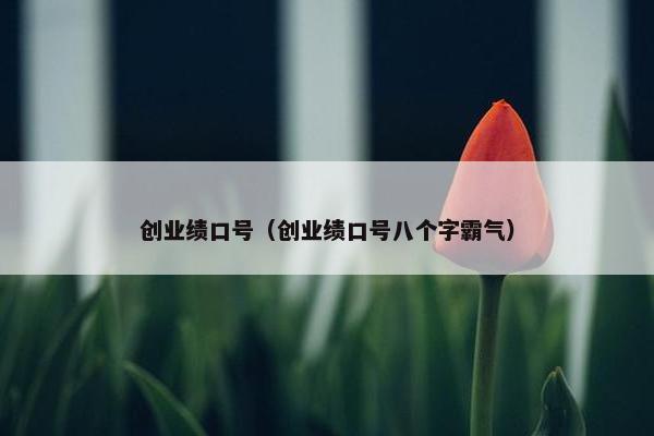 创业绩口号（创业绩口号八个字霸气）