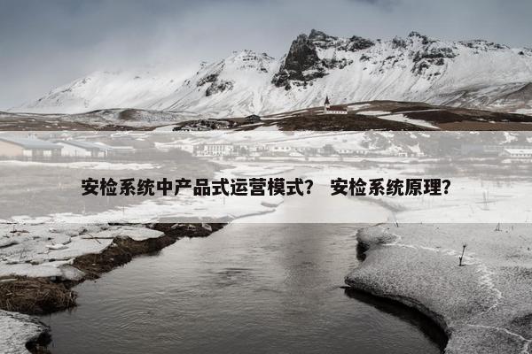 安检系统中产品式运营模式？ 安检系统原理？