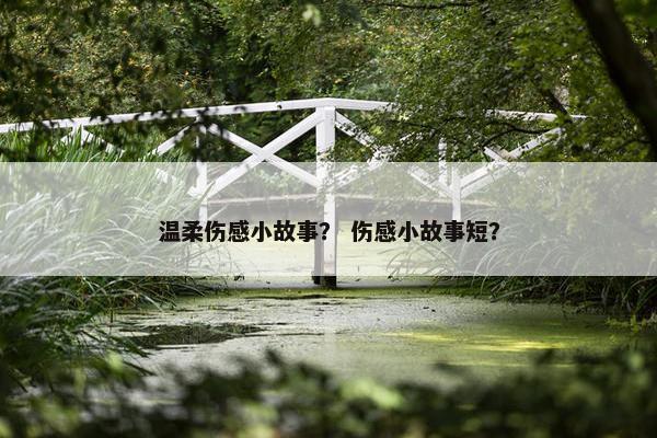 温柔伤感小故事？ 伤感小故事短？