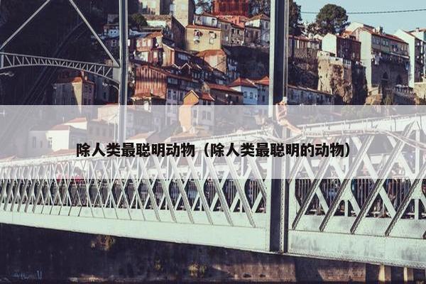 除人类最聪明动物（除人类最聪明的动物）