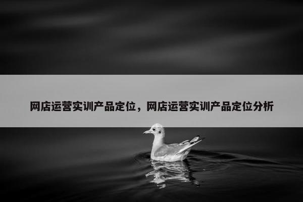 网店运营实训产品定位，网店运营实训产品定位分析