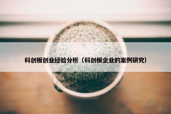 科创板创业经验分析（科创板企业的案例研究）