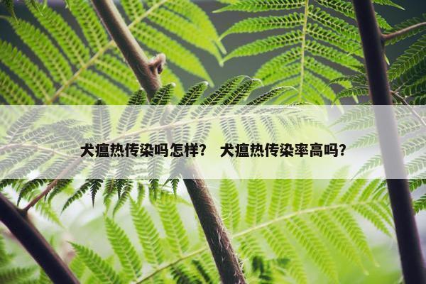 犬瘟热传染吗怎样？ 犬瘟热传染率高吗？