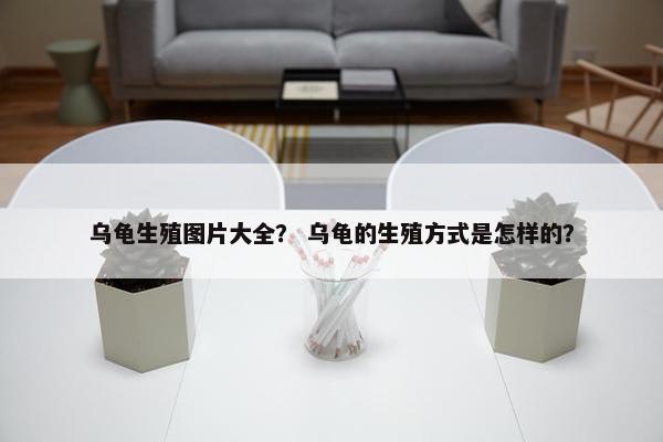 乌龟生殖图片大全？ 乌龟的生殖方式是怎样的？