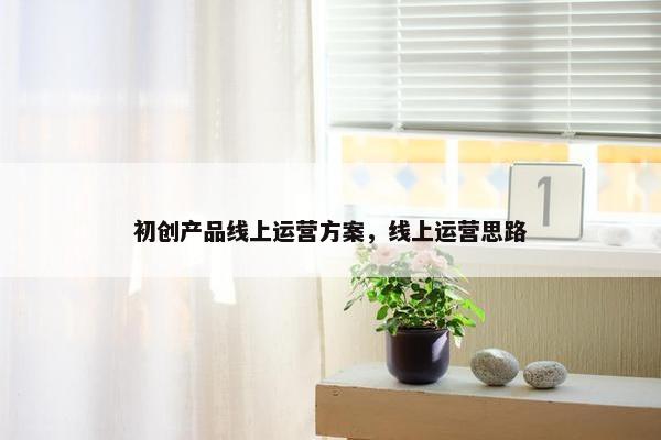 初创产品线上运营方案，线上运营思路