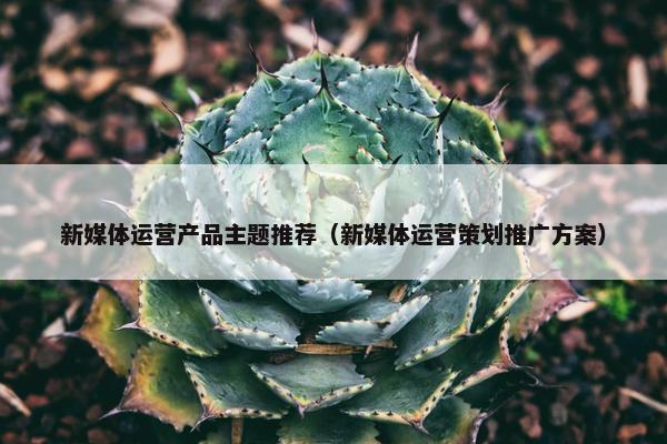 新媒体运营产品主题推荐（新媒体运营策划推广方案）