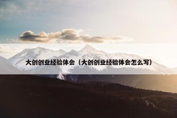 大创创业经验体会（大创创业经验体会怎么写）