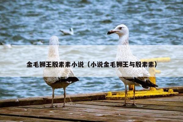 金毛狮王殷素素小说（小说金毛狮王与殷素素）