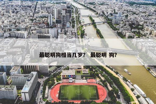 最聪明狗相当几岁？ 最聪明 狗？