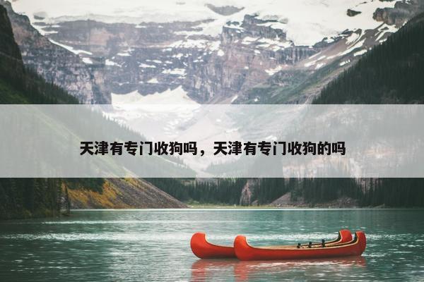 天津有专门收狗吗，天津有专门收狗的吗