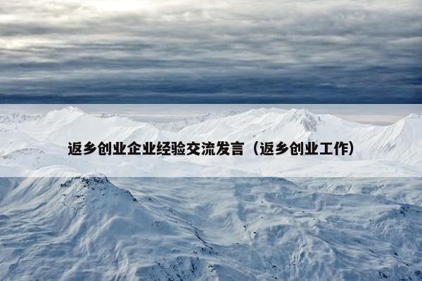 返乡创业企业经验交流发言（返乡创业工作）