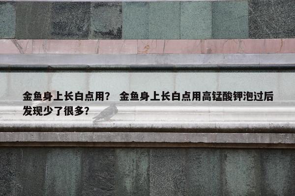 金鱼身上长白点用？ 金鱼身上长白点用高锰酸钾泡过后发现少了很多？