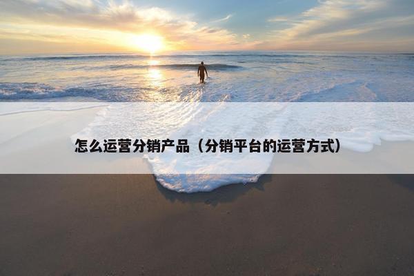 怎么运营分销产品（分销平台的运营方式）