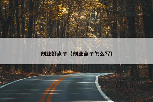 创业好点子（创业点子怎么写）