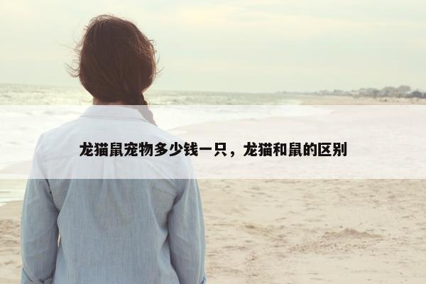 龙猫鼠宠物多少钱一只，龙猫和鼠的区别