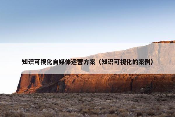 知识可视化自媒体运营方案（知识可视化的案例）