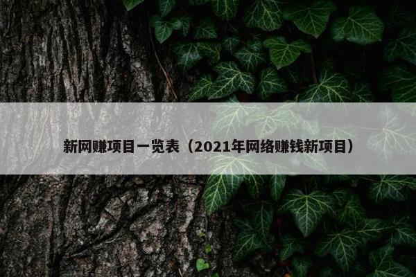 新网赚项目一览表（2021年网络赚钱新项目）