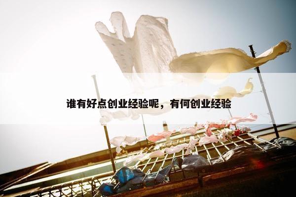 谁有好点创业经验呢，有何创业经验