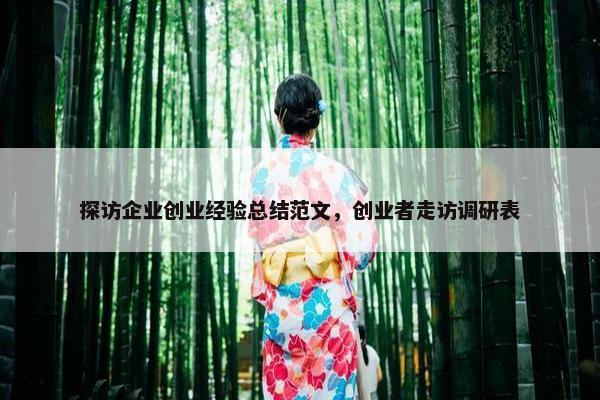 探访企业创业经验总结范文，创业者走访调研表