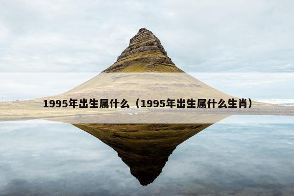 1995年出生属什么（1995年出生属什么生肖）