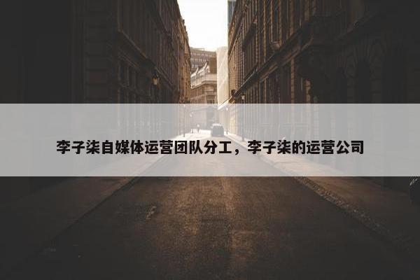 李子柒自媒体运营团队分工，李子柒的运营公司
