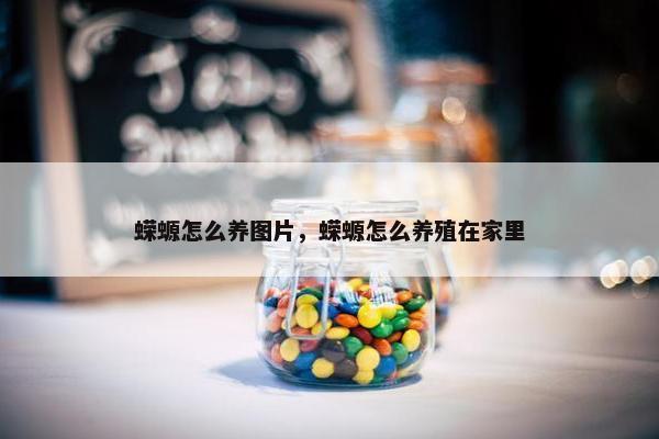 蝾螈怎么养图片，蝾螈怎么养殖在家里