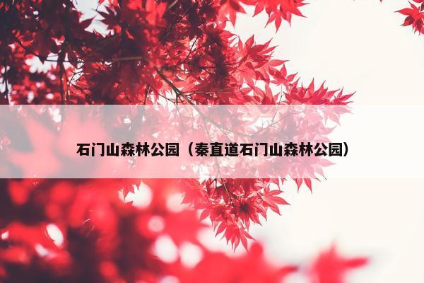 石门山森林公园（秦直道石门山森林公园）