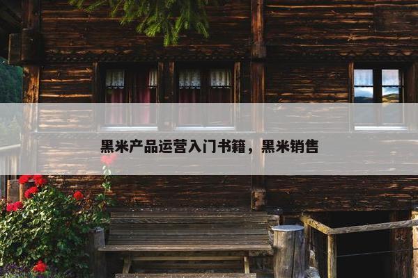 黑米产品运营入门书籍，黑米销售