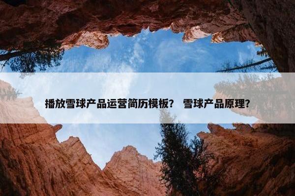 播放雪球产品运营简历模板？ 雪球产品原理？
