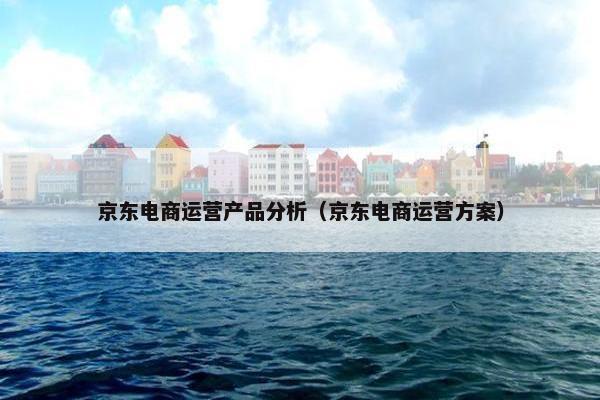 京东电商运营产品分析（京东电商运营方案）