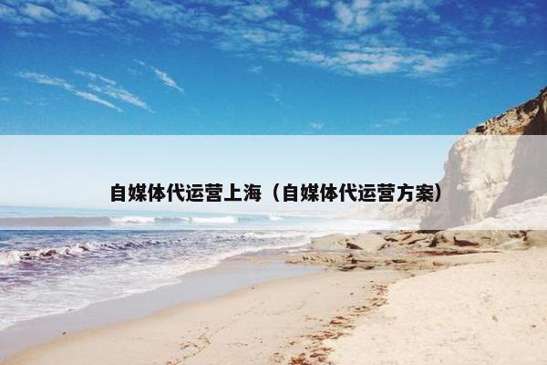 自媒体代运营上海（自媒体代运营方案）