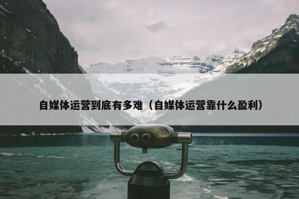 自媒体运营到底有多难（自媒体运营靠什么盈利）