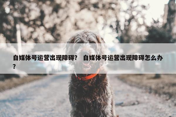 自媒体号运营出现障碍？ 自媒体号运营出现障碍怎么办？