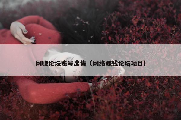 网赚论坛账号出售（网络赚钱论坛项目）