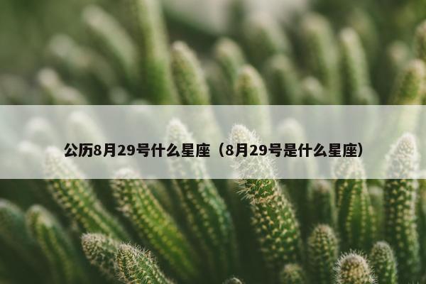 公历8月29号什么星座（8月29号是什么星座）