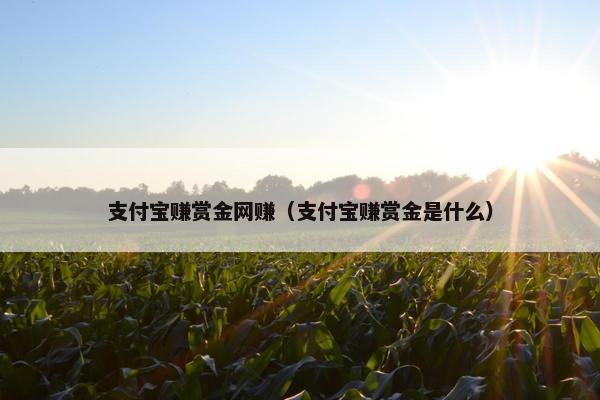 支付宝赚赏金网赚（支付宝赚赏金是什么）
