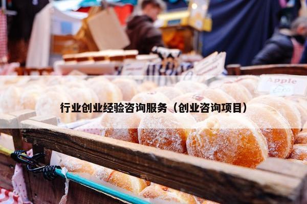 行业创业经验咨询服务（创业咨询项目）