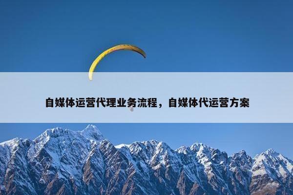 自媒体运营代理业务流程，自媒体代运营方案